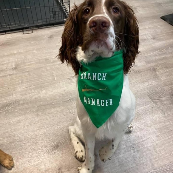 Please Read description🐾💙💚 - Picture 13 of 13